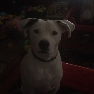 Meet your Posher, Renee